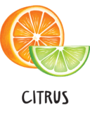 Citrus